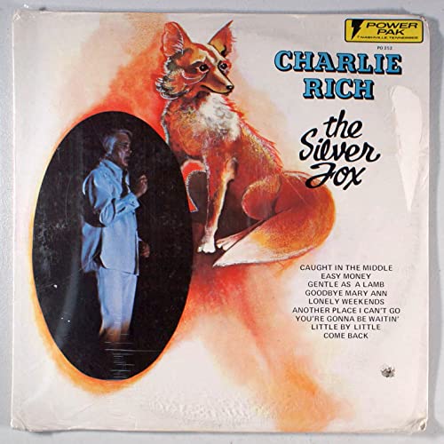 silver fox (POWER PAK 252 LP) von POWER PAK