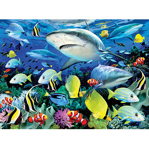 PRACHT® Creatives Malen-nach-Zahlen Meeresleben mehrfarbig von PRACHT® Creatives