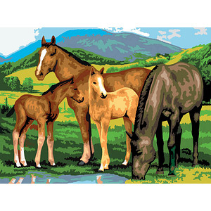 PRACHT® Creatives Malen-nach-Zahlen Pferde mehrfarbig von PRACHT® Creatives