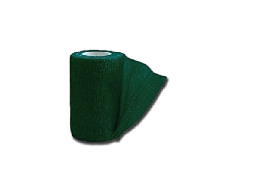 Previs - Previcoesiva XL, Farbige Kohäsive Elastische Binde, Grün, Größen 4 m x 6 cm, Packung mit 10 Stücken. von PREVIS