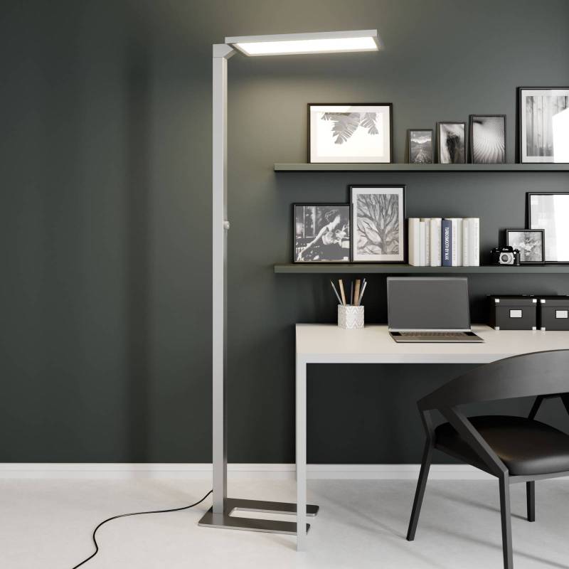 Prios Lexo LED-Office-Stehleuchte mit Dimmer von PRIOS