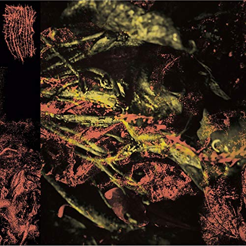 Permanent Destitution (Vinyl) [Vinyl LP] von PROFOUND LORE