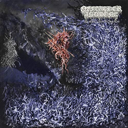Sulfuric Disintegration [Vinyl LP] von PROFOUND LORE