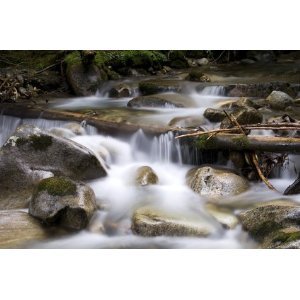 Neutral ND8 Graufilter 62mm für Digitalkameras z.B. Tamron AF 28-300mm XR DI VC/AF 70-300mm DI LD/AF 18-200mm XR DI II u.v.a Neutral ND8 Graufilter 62mm für Digitalkameras z.B. Tamron AF 28-300mm XR DI VC/AF 70-300mm DI LD/AF 18-200mm XR DI II u.v.a von PROFOX