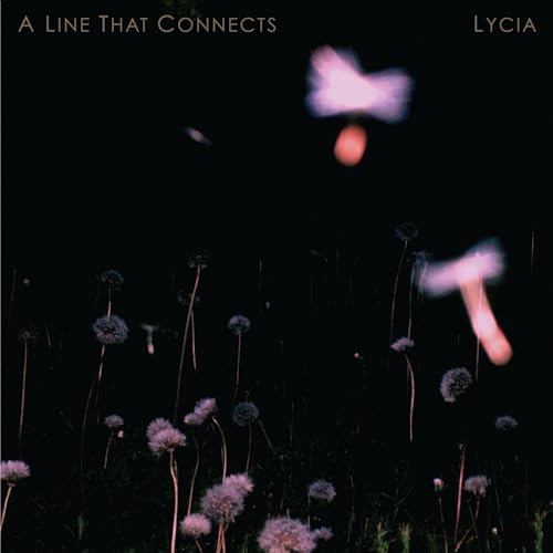 A Line That Connects (2lp) [Vinyl LP] von PROJEKT