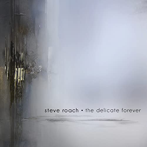 Steve Roach - The Delicate Forever von PROJEKT