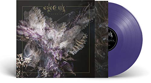 Ligeia (Ltd.180 Gr Purple Vinyl) [Vinyl LP] von PROPHECY