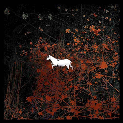 Prédateurs (LTD. Complete Box) [Vinyl LP] von Prophecy