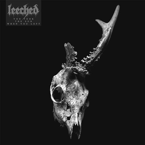 You Took The Sun When You Left von Prosthetic Records