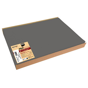 100 PROnappe Platzsets grau 30,0 x 40,0 cm von PROnappe
