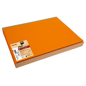 100 PROnappe Platzsets orange 30,0 x 40,0 cm 100 PROnappe Platzsets orange 30,0 x 40,0 cm von PROnappe