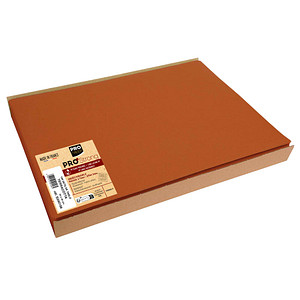 100 PROnappe Platzsets orange 30,0 x 40,0 cm von PROnappe