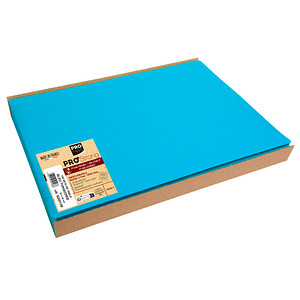 100 PROnappe Platzsets türkis 30,0 x 40,0 cm von PROnappe