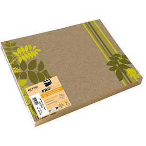 400 PROnappe Platzsets Natur mehrfarbig 30,0 x 40,0 cm 400 PROnappe Platzsets Natur mehrfarbig 30,0 x 40,0 cm von PROnappe