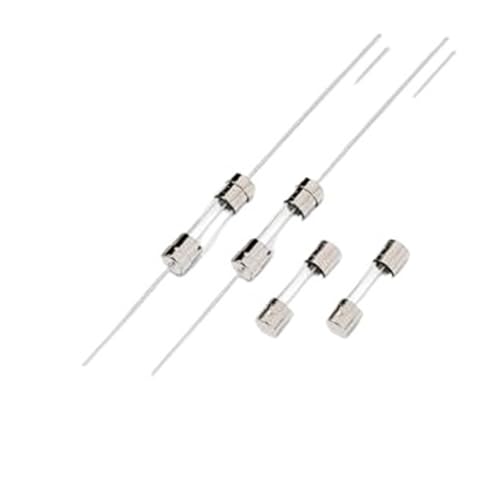 10 Sicherungen mit verzögertem Glasrohr 061801.6MXP () 5 x 20 mm von PUERLYAR