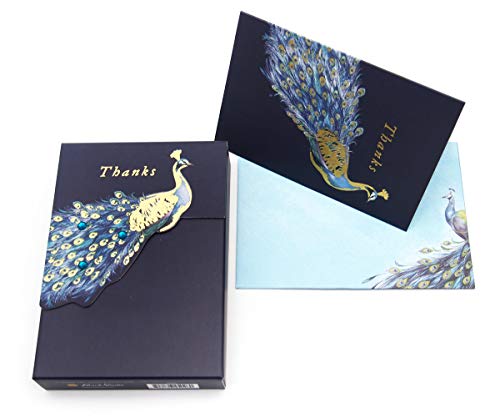 Punch Studio 45026 Danksagungskarten, 10 Karten/Umschläge, Pfauen-Design, in Box von PUNCH STUDIO