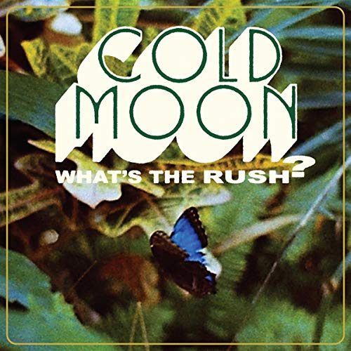 What's The Rush [Vinyl LP] von PURE NOISE RECOR