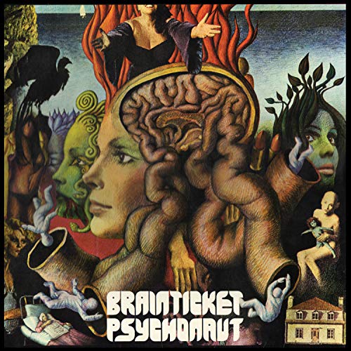 Psychonaut [Vinyl LP] von PURPLE PYRAMID