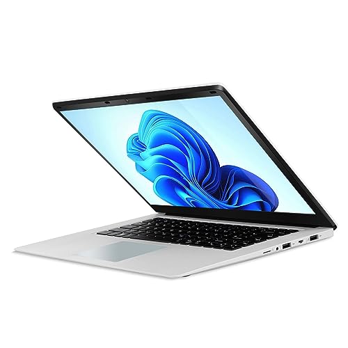 PUSOKEI 14,1 Zoll Gaming Laptop, Intel Celeron J4105 CPU, 6 GB RAM, 512 GB SSD, 2K IPS Bildschirm, WiFi Bluetooth, Zwei Lautsprecher und Mikrofon, Tragbar für Windows 10 (EU-Stecker) von PUSOKEI