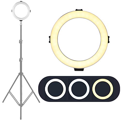 PUSOKEI 8-Zoll-Selfie-Ringlicht, USB-Power-LED-Ringfülllicht, 2 Lichtmodi und 10 Helligkeitsstufen mit 74,8-Zoll-Kabel für Fotografie/Make-up/Live-Streamin von PUSOKEI