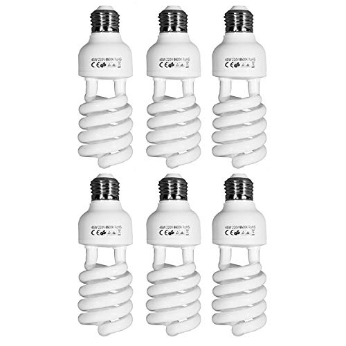 6 x Fotografie Daylight Weiß E27 Beleuchtung Lampen-Birnen- 45W 5500K Lampe 6 x Fotografie Daylight Weiß E27 Beleuchtung Lampen-Birnen- 45W 5500K Lampe von PYXEL