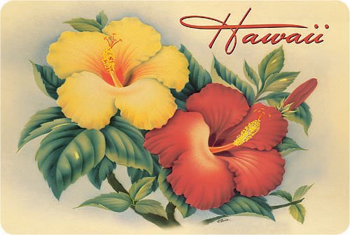 Hawaiian Vintage Postkarten 30 Stück – Hawaiian Hibiscus by Eve von Pacifica Island Art