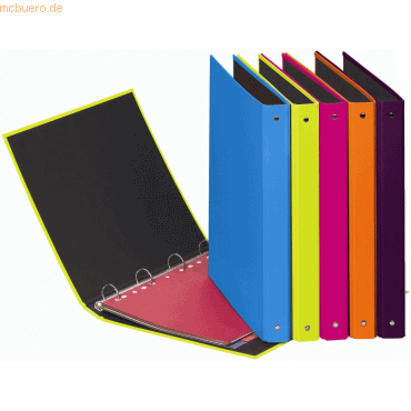 12 x Pagna Ringbuch A4 25mm 4 Ringe sortiert 12 x Pagna Ringbuch A4 25mm 4 Ringe sortiert von Pagna