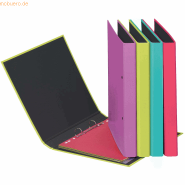 12 x Pagna Ringbuch A5 20mm 2 Ringe farbig sortiert 12 x Pagna Ringbuch A5 20mm 2 Ringe farbig sortiert von Pagna