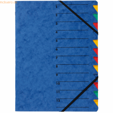 5 x Pagna Ordnungsmappe Easy A4 Karton 12 Fächer blau 5 x Pagna Ordnungsmappe Easy A4 Karton 12 Fächer blau von Pagna