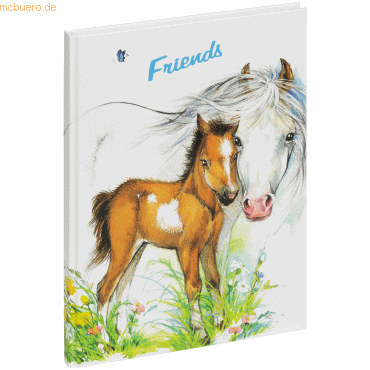 6 x Pagna Freundebuch süßes Fohlen 15x22cm 60 Seiten von Pagna