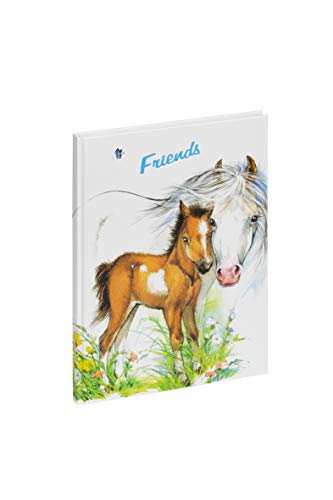 PAGNA 20356-15 Freundebuch süßes Fohlen 60S von Pagna