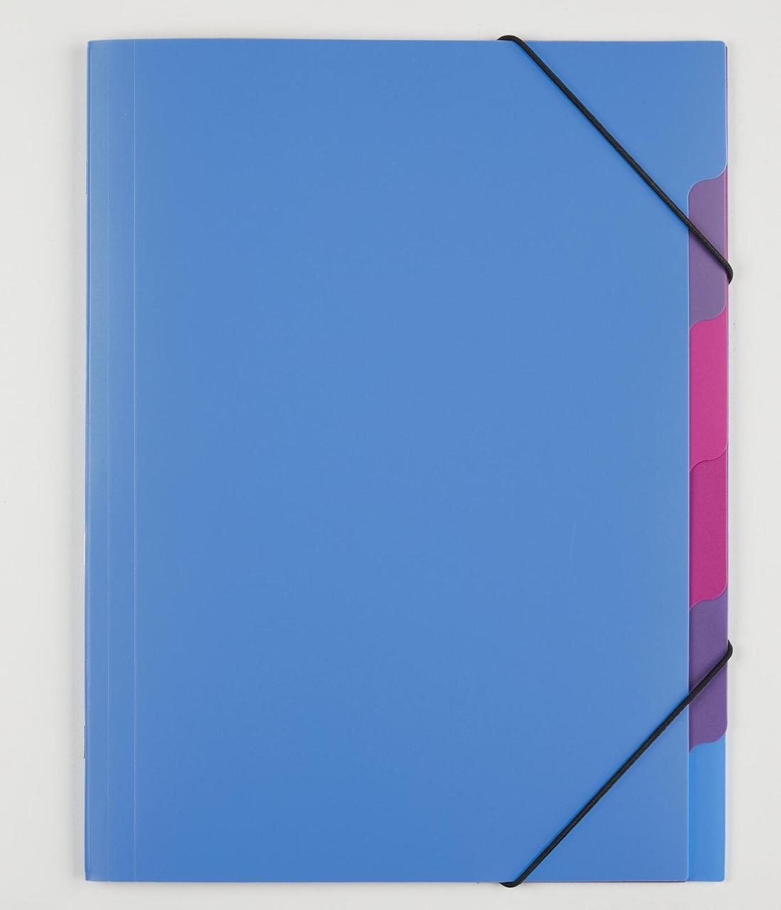 PAGNA Ordnungsmappe DIN A4 5-Fach hellblau PAGNA Ordnungsmappe DIN A4 5-Fach hellblau von Pagna