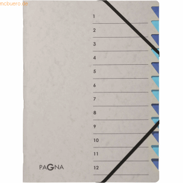 Pagna Ordnungsmappe A4 12 Fächer Easy Grey blau 1-12 von Pagna