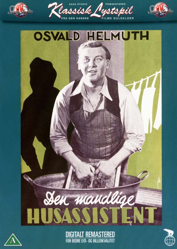 Den mandlige husassistent - DVD Den mandlige husassistent - DVD von Palladium