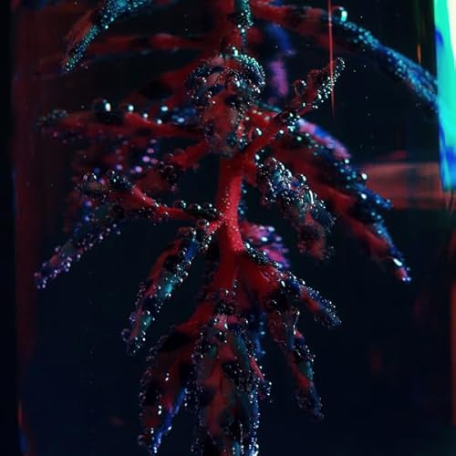 Cocoon Crush [Vinyl LP] von Pan