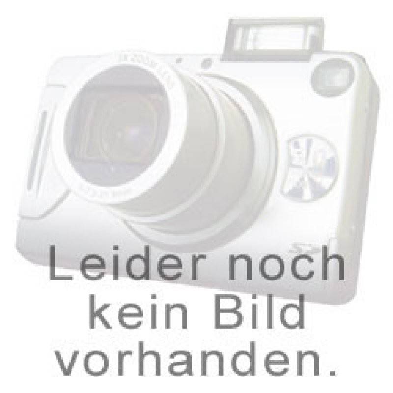 Sanyo Stange 2 x KRDHL DEL Cadnica Mono NiCd mit Faston von Panasonic (ehem. Sanyo)