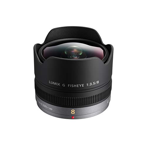 Panasonic H-F008E LUMIX G Fisheye 8 mm F3.5 Objektiv (16 mm KB, klein und leicht, Bildwinkel 180°) schwarz von Panasonic