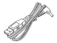 Panasonic K2GHYYS00002 - USB-Strömungskabel - USB-Anschluss bis DC-Anschluss - für Panasonic HC-V260, V270, V380, V750, V770, VX870, VX980, VXF990, W570, W580, W850, WX970 von Panasonic