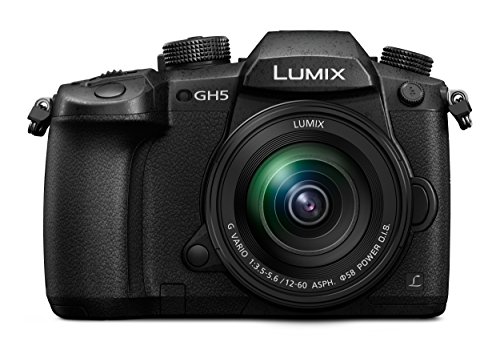 Panasonic Lumix DC-GH5MEG-K Systemkamera (20 MP, Dual I.S., 4K/6K, wetterfestes Magnesiumgehäuse, 12-60mm Objektiv, schwarz) von Panasonic