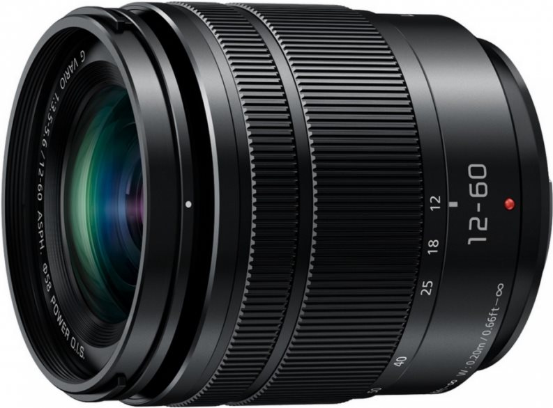 Panasonic Lumix G Vario 3,5-5,6/12-60 Power OIS Asph. (H-FS12060E) von Panasonic