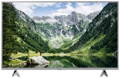 Panasonic TX-43LSW504S LCD-TV 109.2cm 43 Zoll EEK F (A - G) Full HD, Smart TV, WLAN, CI+ Silber von Panasonic