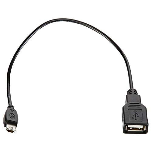 Panasonic USB 2.0 A – USB Kabel (USB A, männlich/weiblich, Schwarz) von Panasonic