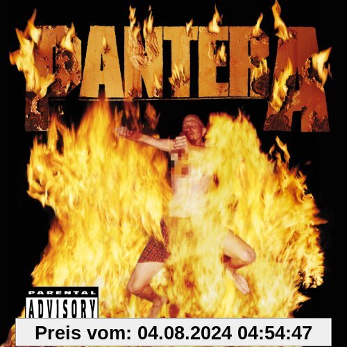 Reinventing the Steel von Pantera