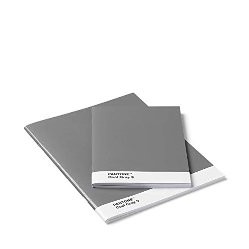 Pantone Blanko-Hefte, Booklet 2er-Set, cool gray 8 von Pantone