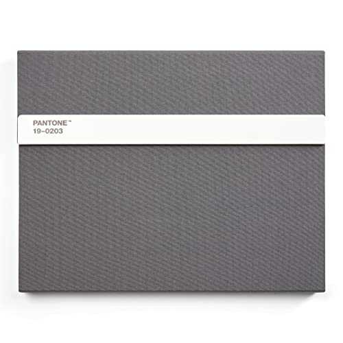 Pantone Notizbuch liniert, mit Stift und Lineal, 160 Seiten, Außenbemaßung LxBxT 240 x 190 x 20 mm, Grey 19-0203 von Pantone