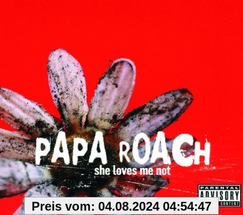 She Loves Me Not von Papa Roach