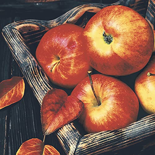 20 Cocktail Servietten Apfel im Herbst 24 x 24 cm von Paper+Design