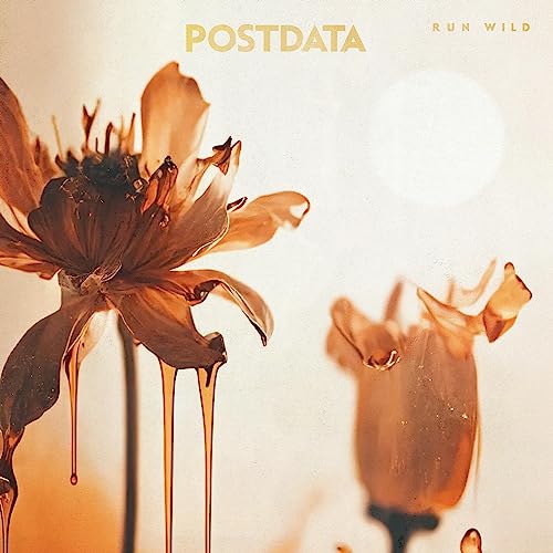 Run Wild [Vinyl LP] von Paper Bag