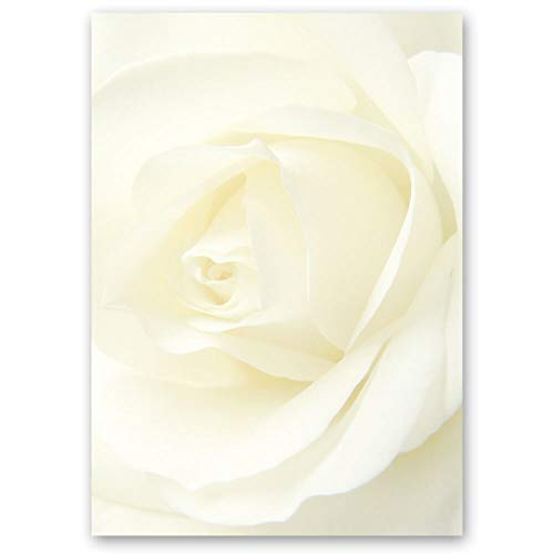 100 Blatt Briefpapier Blumen & Blüten, Liebe & Hochzeit WEISSE ROSE - DIN A6 Format - Paper-Media von Paper-Media