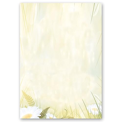 100 Blatt Briefpapier MARGERITEN - DIN A4 (210x297 mm), 90 g/m² - Blumenmotiv von Paper-Media